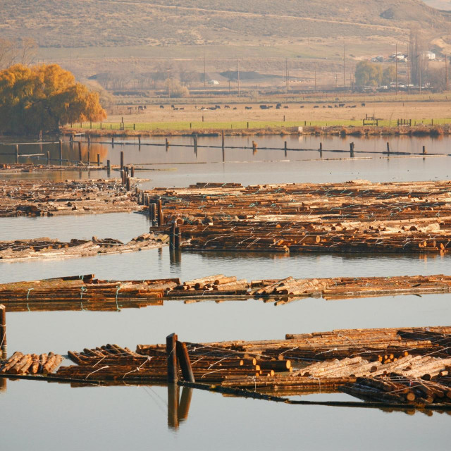 Radi se o četiri brane na 414 kilometara dugoj rijeci Klamath, koju dijele savezne države Oregon i Kalifornija
