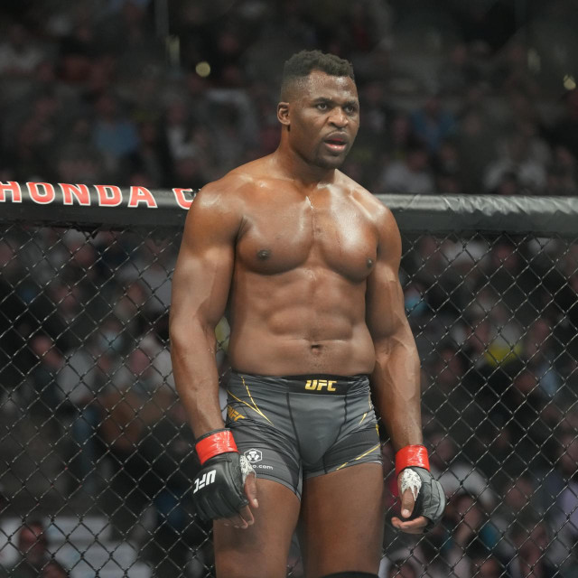 Francis Ngannou 