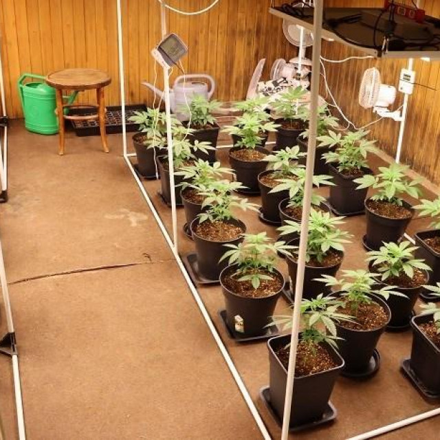 Laboratorij za indoor uzgoj marihuane