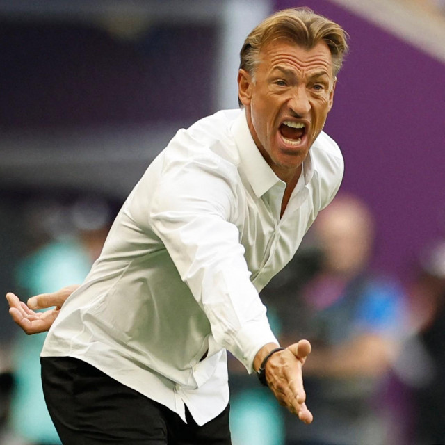 Herve Renard