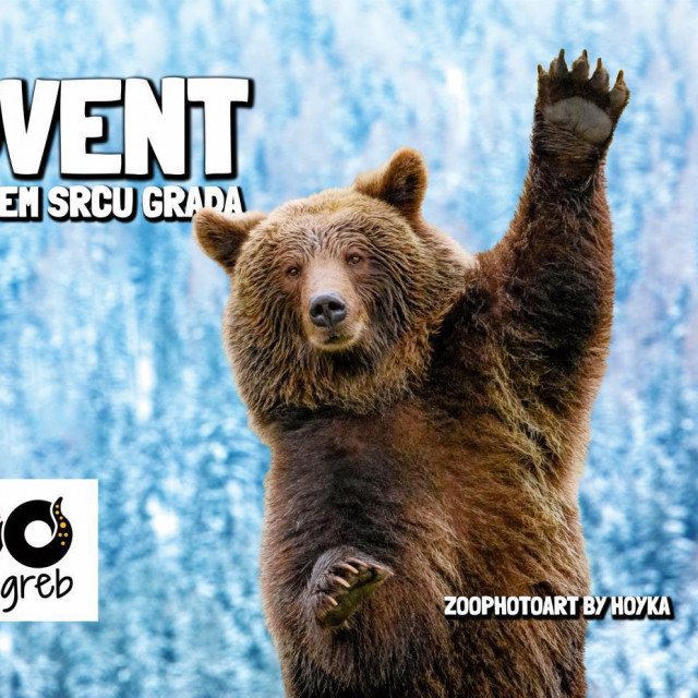 Advent u zagrebačkom ZOO-u