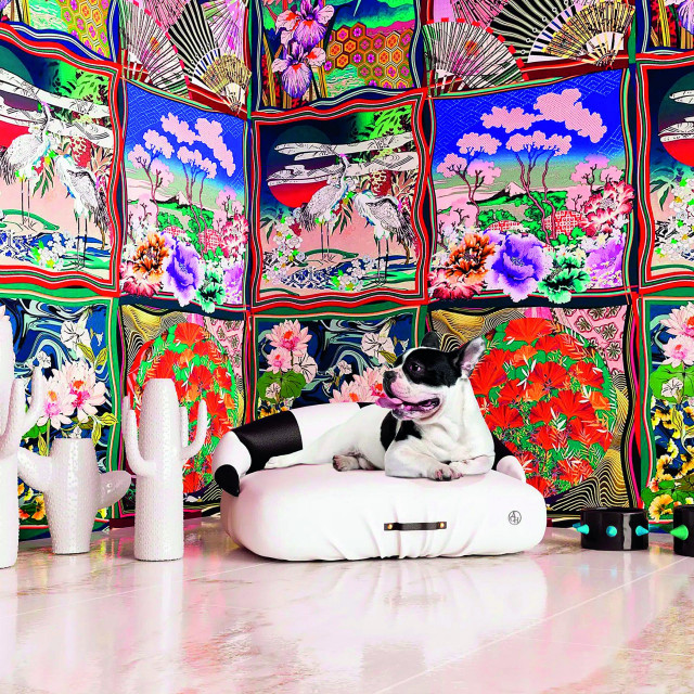 Krevet za ljubimce, ACH Collection