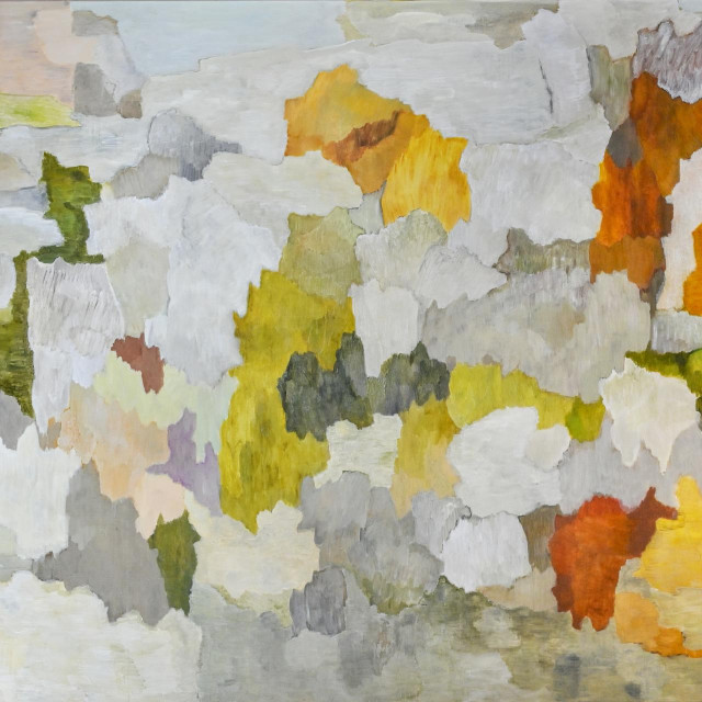 Sanja Ipšić Randić: Obala