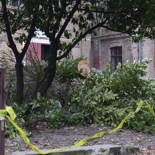 Radovi na obnovi nakon potresa Gliptoteke Hrvatske Akademije znanosti i umjetnosti.
 