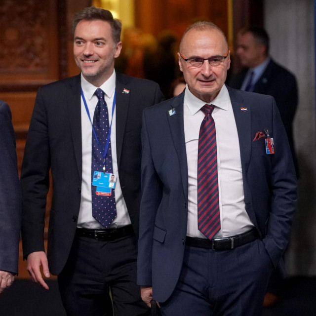 Gordan Grlić Radman (D)