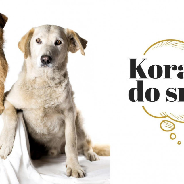 Kalendar za 2023. godinu