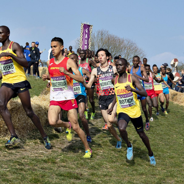 Scena s posljednjeg SP-a, održanog 2019. u danskom Aarhusu