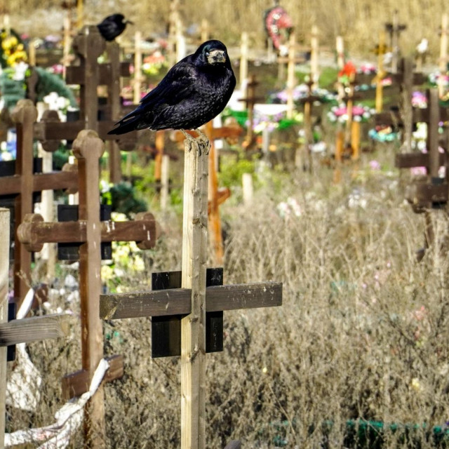 Groblje u Mariupolju