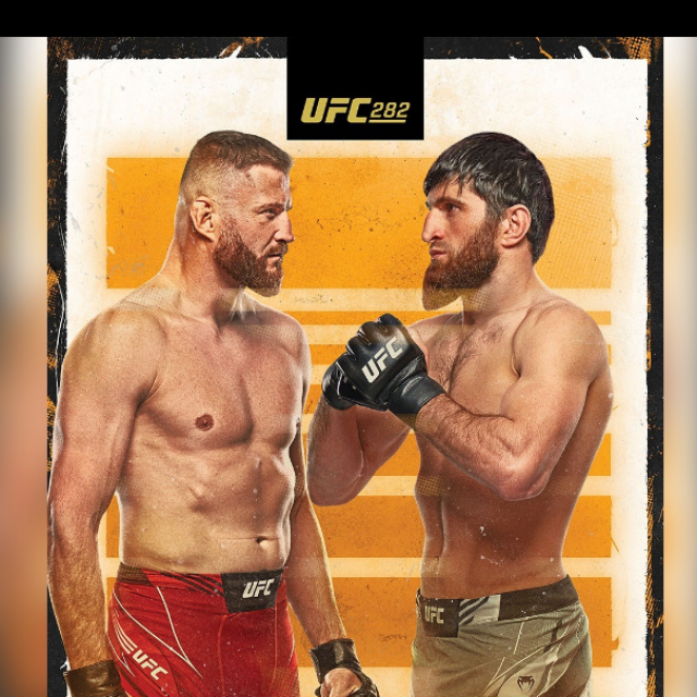 Blachowicz vs. Ankalaev