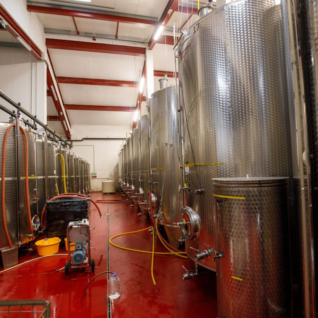 Vinarija Trs
