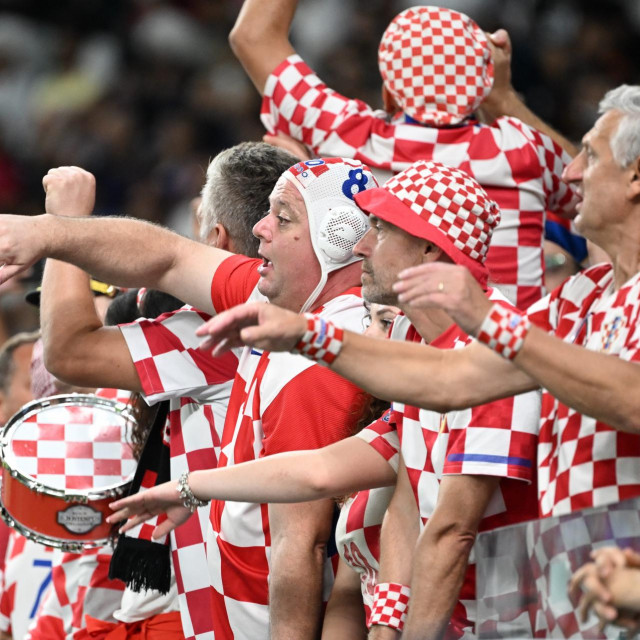 Utakmica Hrvatska - Japan