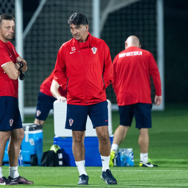 Ivica Olić i Zlatko Dalić