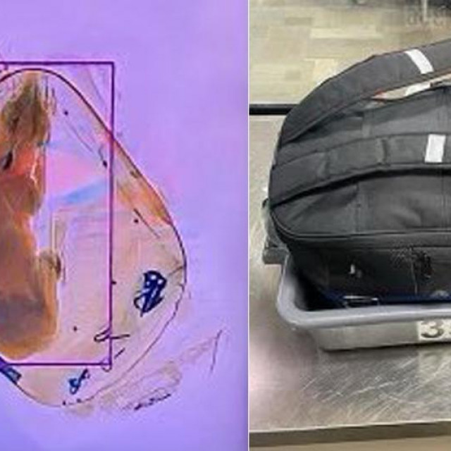 TSA poručuje da je potrebno izvaditi životinje iz torbe kako bi praznu nosiljku mogli poslati kroz rendgenske zrake