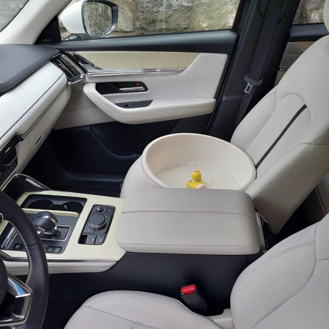 Lavor na suvozačkom sjedalu (ilustracija)