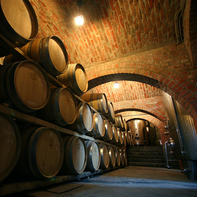 Podrum vinarije Krauthaker