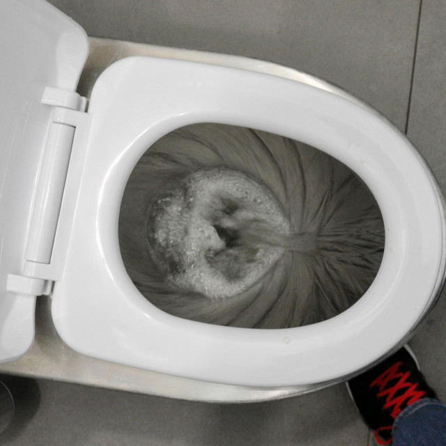 Ilustrativna fotografija