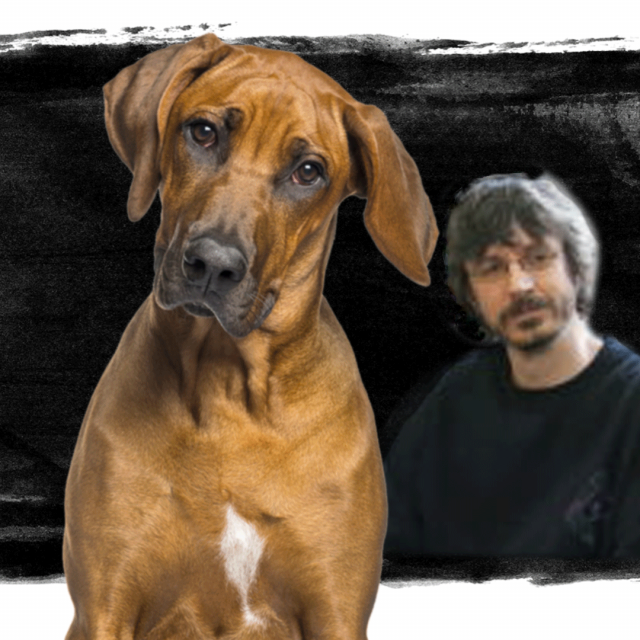 Ivor Ivanišević, optužen za silovanje pasa