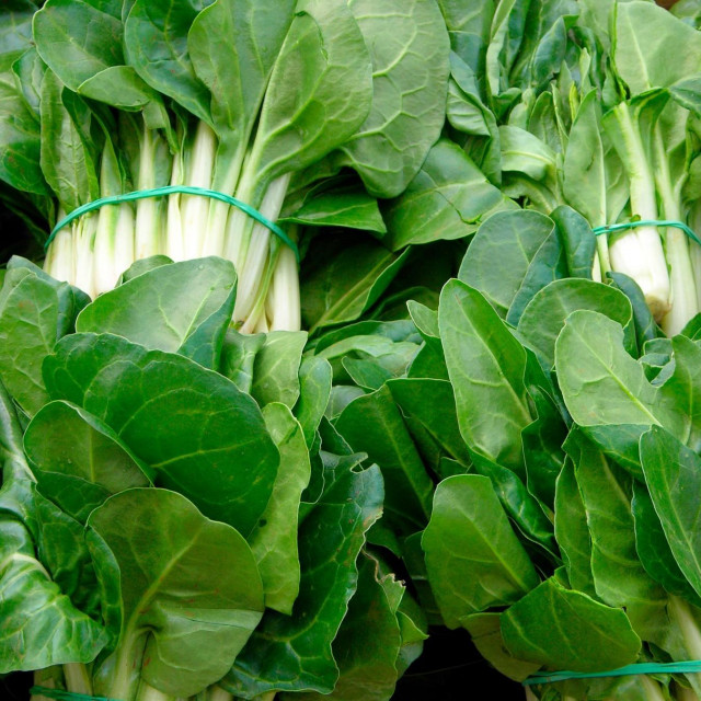 Ilustrativna fotografija