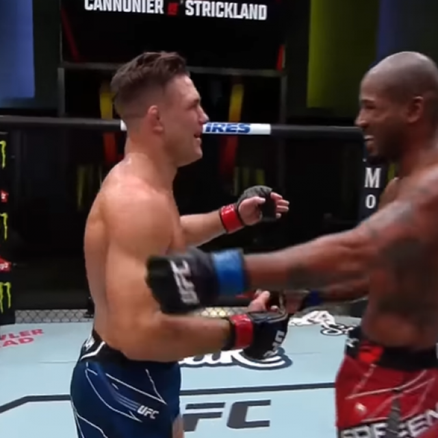 Drew Dober i Bobby Green