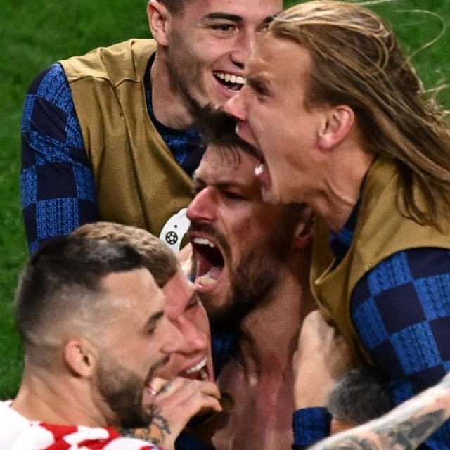 Domagoj Vida nakon gola Petkovića protiv Brazila