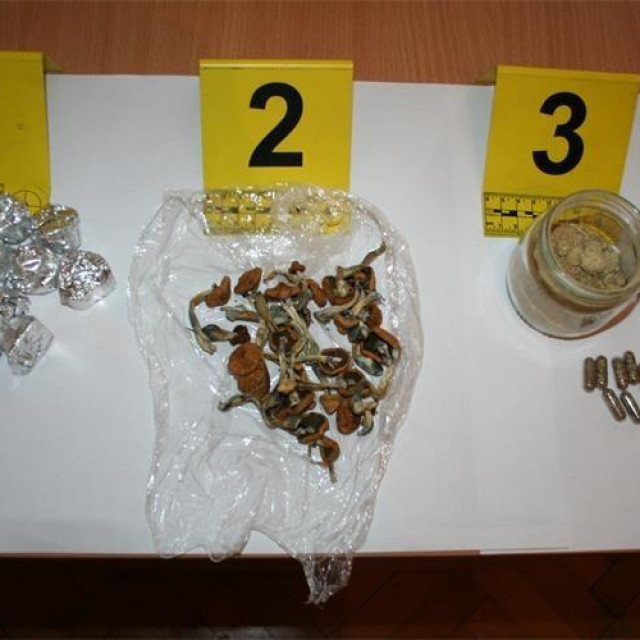 Zaplijenjene psilocibinske gljive