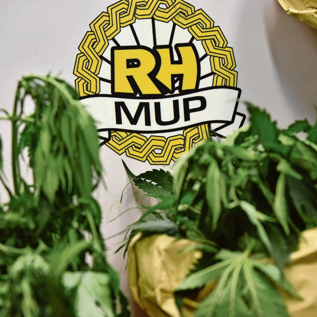 Zaplijenjena marihuana, ilustracija