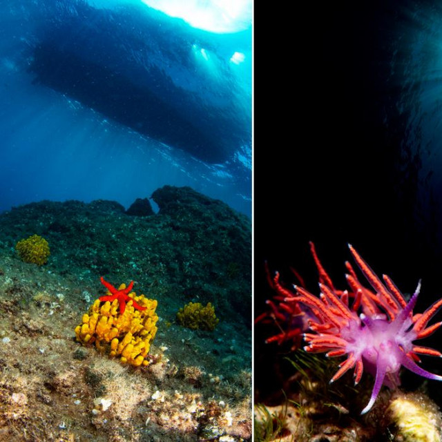 Ronjenje na Kukuljarima