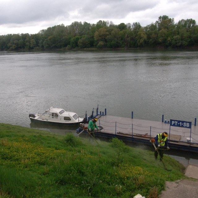 Sava, Slavonski brod