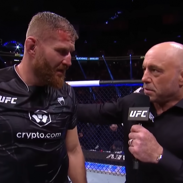 Blachowicz i Rogan