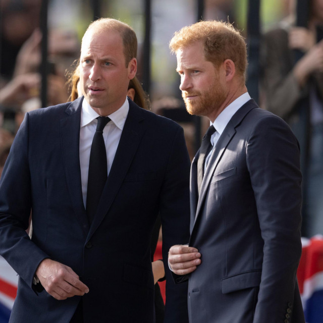Princ Harry se na britanskom dvoru oduvijek smatrao bratovom rezervom