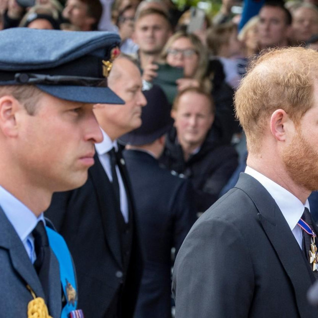 Prinčevi William i Harry