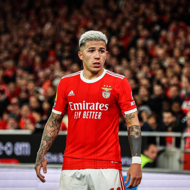 Enzo Fernandez