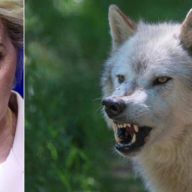 Ursula von der Leyen i vuk/Iluastracija