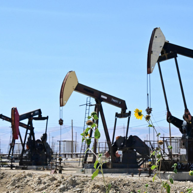 Usporavanje rasta gospodarstava očekuje se zbog toga što će američka i europska središnja banka, kako se najavile, i ove godine podizati kamatne stope kako bi suzbile inflaciju