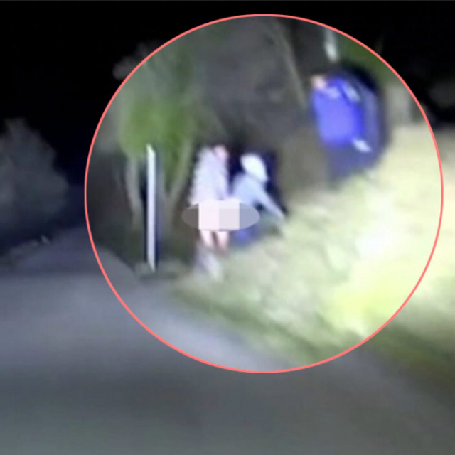 Screenshot incidenta