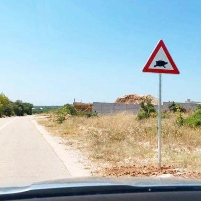 Prometni znak s kornjačom