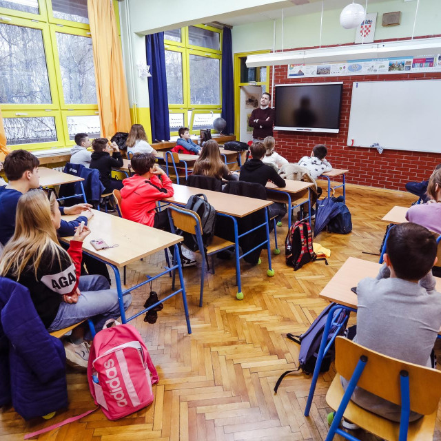 Dejan Nemčić, profesor