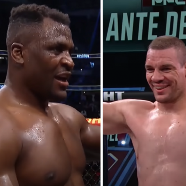 Francis Ngannou (lijevo) i Ante Delija