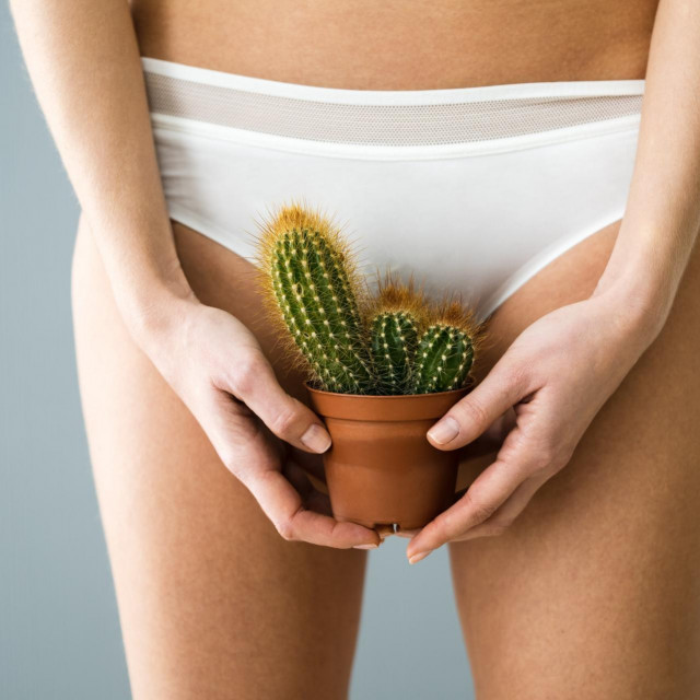 Prema jednoj od teorija, gubitak krzna omogućio je hominidima da love tijekom dana na vrućim travnjacima bez pregrijavanja