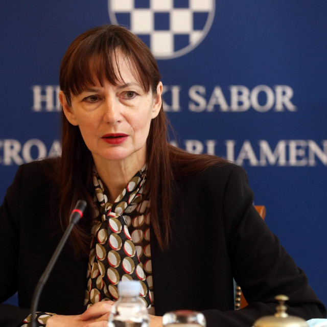 Predsjednica Odbora za obitelj, mlade, i sport Vesna Vučemilović