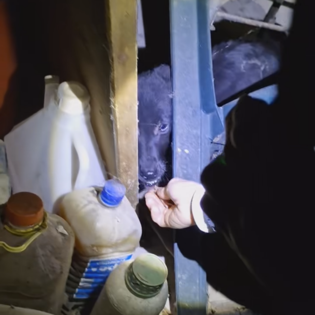 Udruga LePas
Facebook screenshot