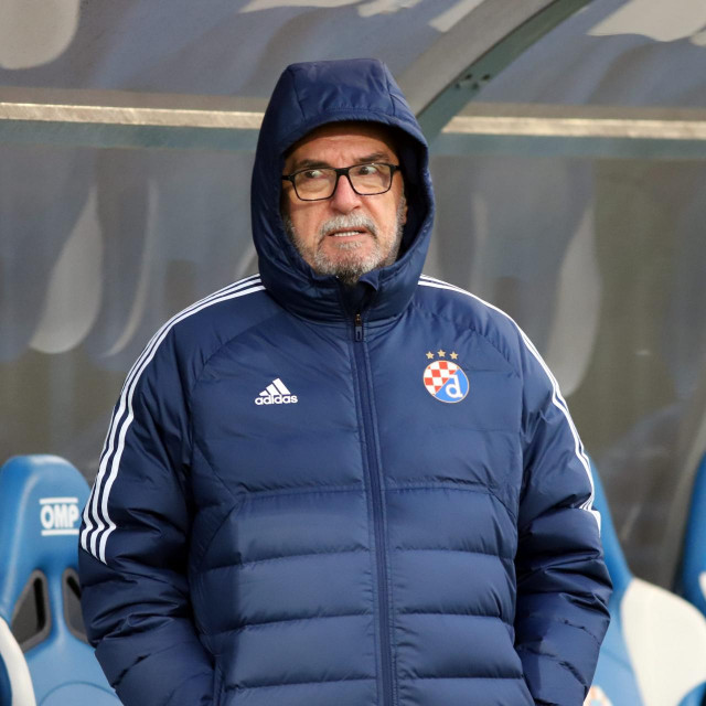 Ante Čačić, trener Dinama