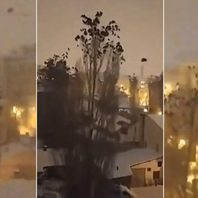 Ponašanje ptica prije potresa