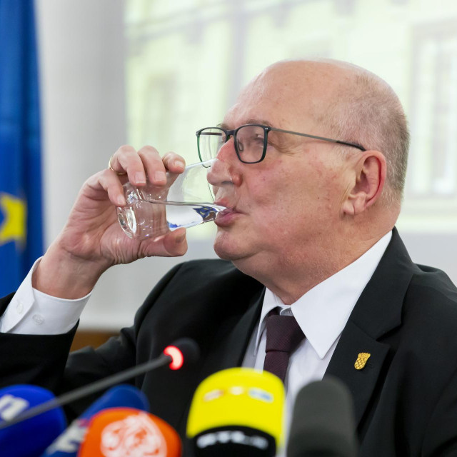 Predsjednik Ustavnog suda Miroslav Šeparović istaknuo je da je odluku o neustavnosti Zakona o izbornim jedinicama sud donio na vlastitu inicijativu i da je za nju glasalo 11 od 12 sudaca prisutnih na sjednici. Protiv je bio samo sudac Miroslav Šumanović