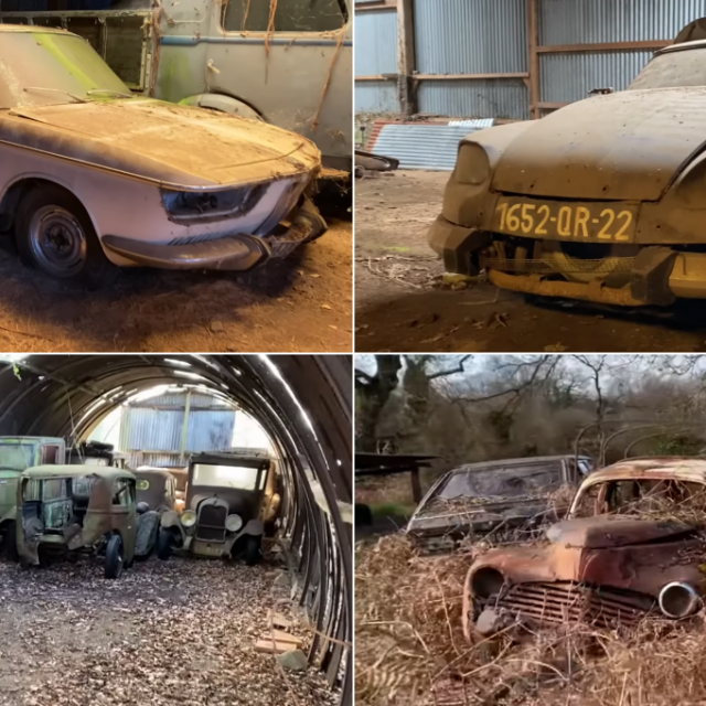 Kolekcija zaboravljenih automobila, Francuska