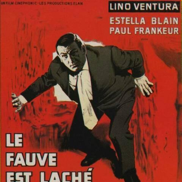 Le fauve est lâché