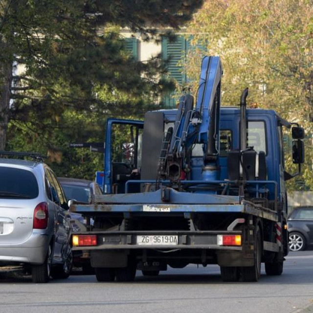 Ilustracija, pauk u Zagrebu