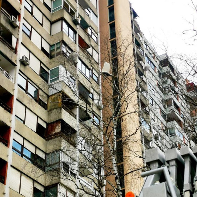 Opasan predmet na drvetu kod Mamutice