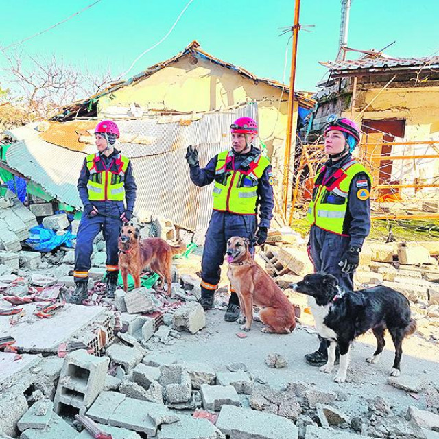 Potražni psi iz hrvatskog tima