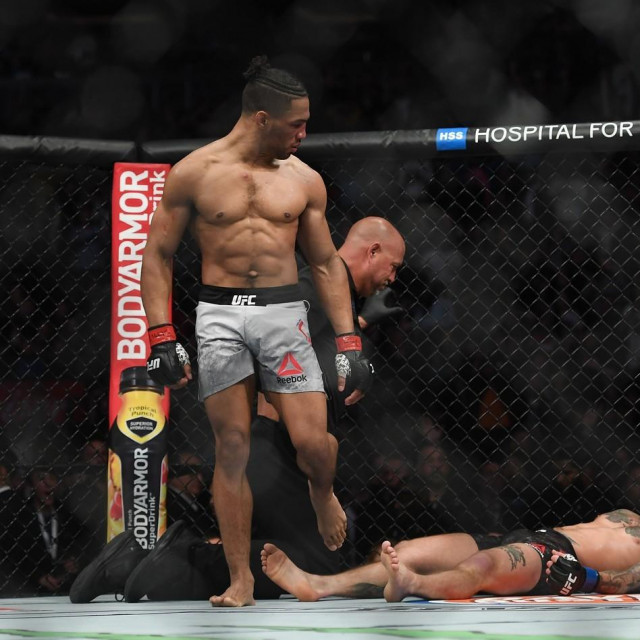 Kevin Lee vs. Gregor Gillespie (dolje)